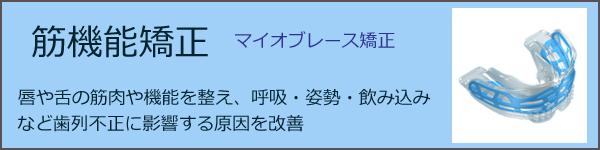 予防矯正装置で舌の位置と呼吸を整える