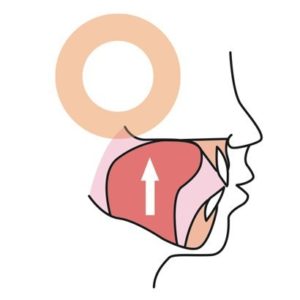 正しい舌の位置